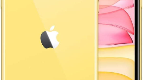 Apple iPhone 11 – 64 GB – Libre – Renovado Premuim