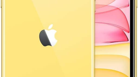 Apple iPhone 11 – 64 GB – Libre – Renovado Premuim