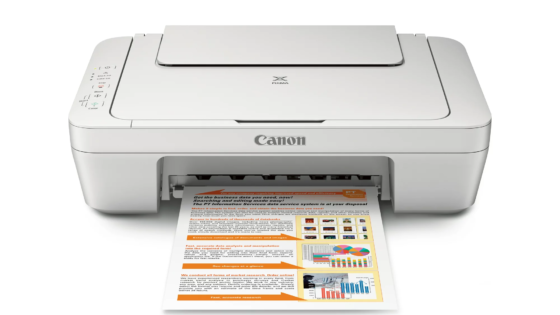 Canon PIXMA MG2522 Impresora de inyección de tinta a color todo en uno con cable